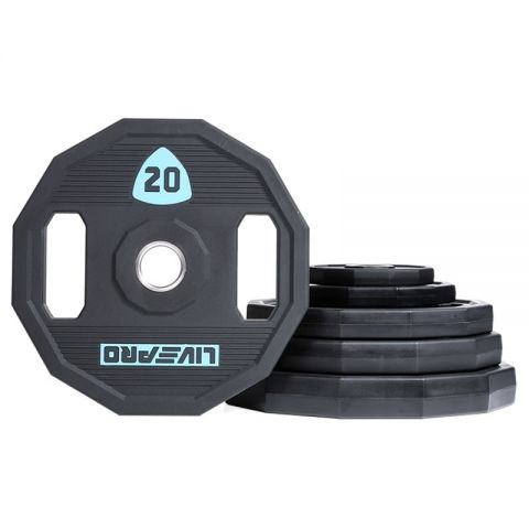 Livepro Urethane Levypaino