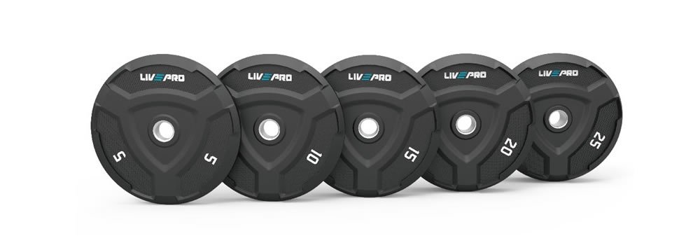 Bumper plate levypainot